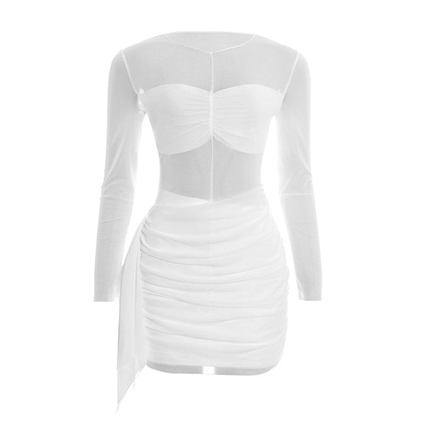 Long sleeve ruched mesh mini dress