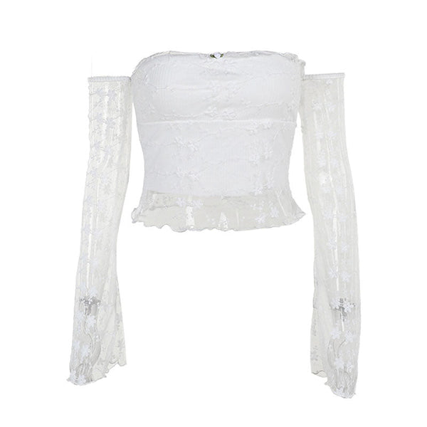 Off shoulder long sleeve mesh embroidery top